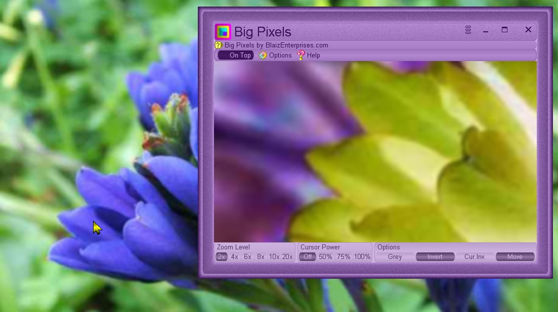 Close up view of flowers using Option: Invert
