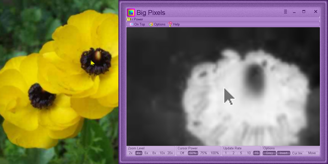 Close up view using Options: Grey and Invert at 4x zoom