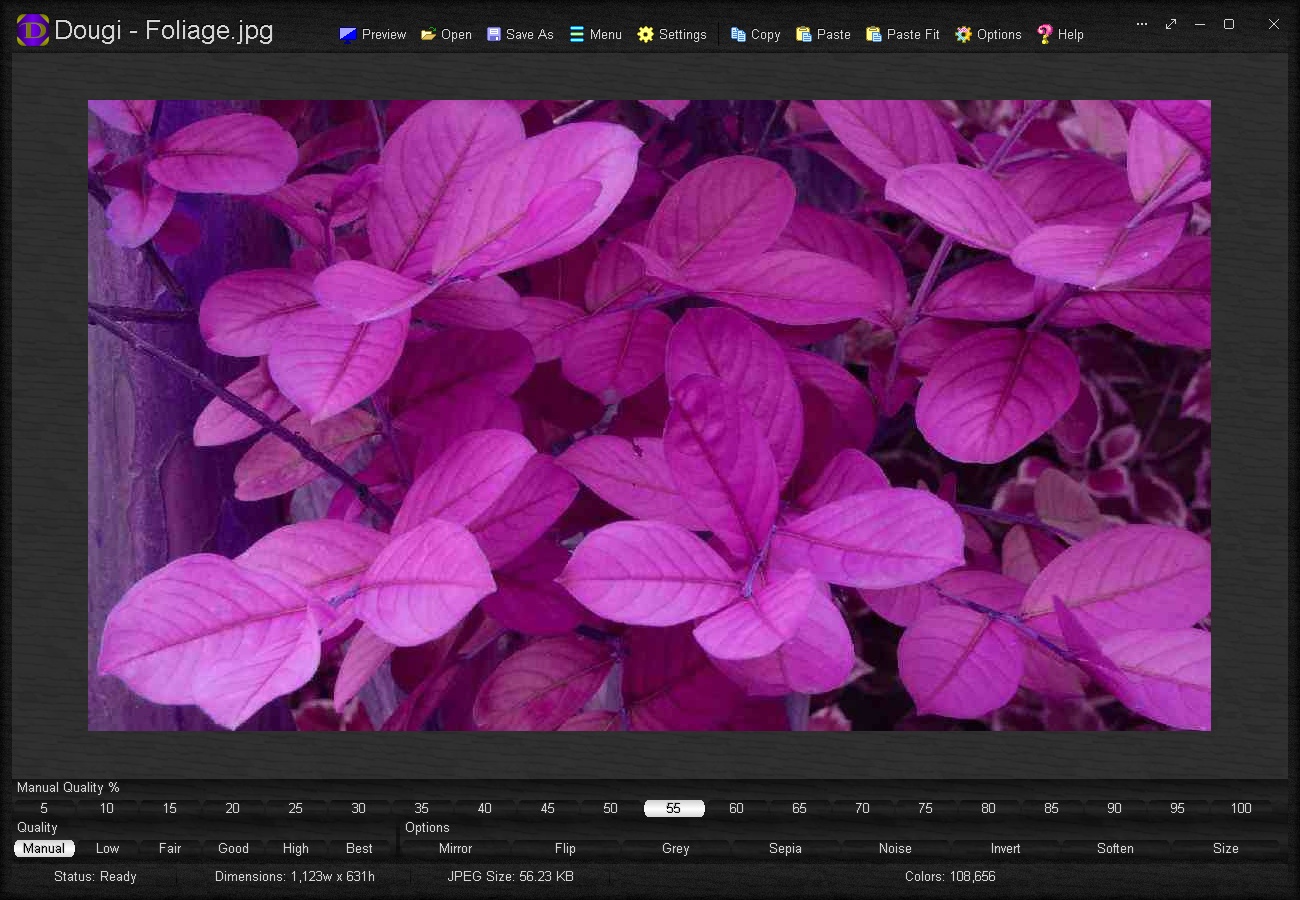 A JPEG image set to manual quality of 55%