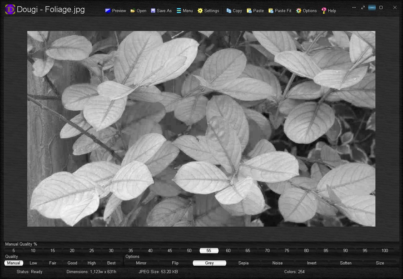 Greyscale filter applied
