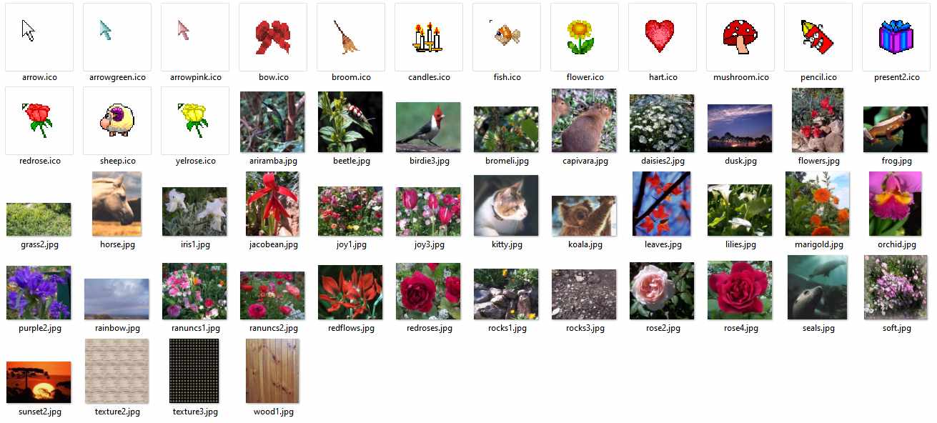 Overview of library contents
