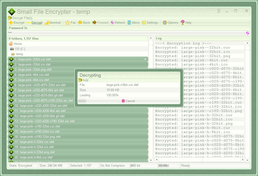 Decrypting selected files