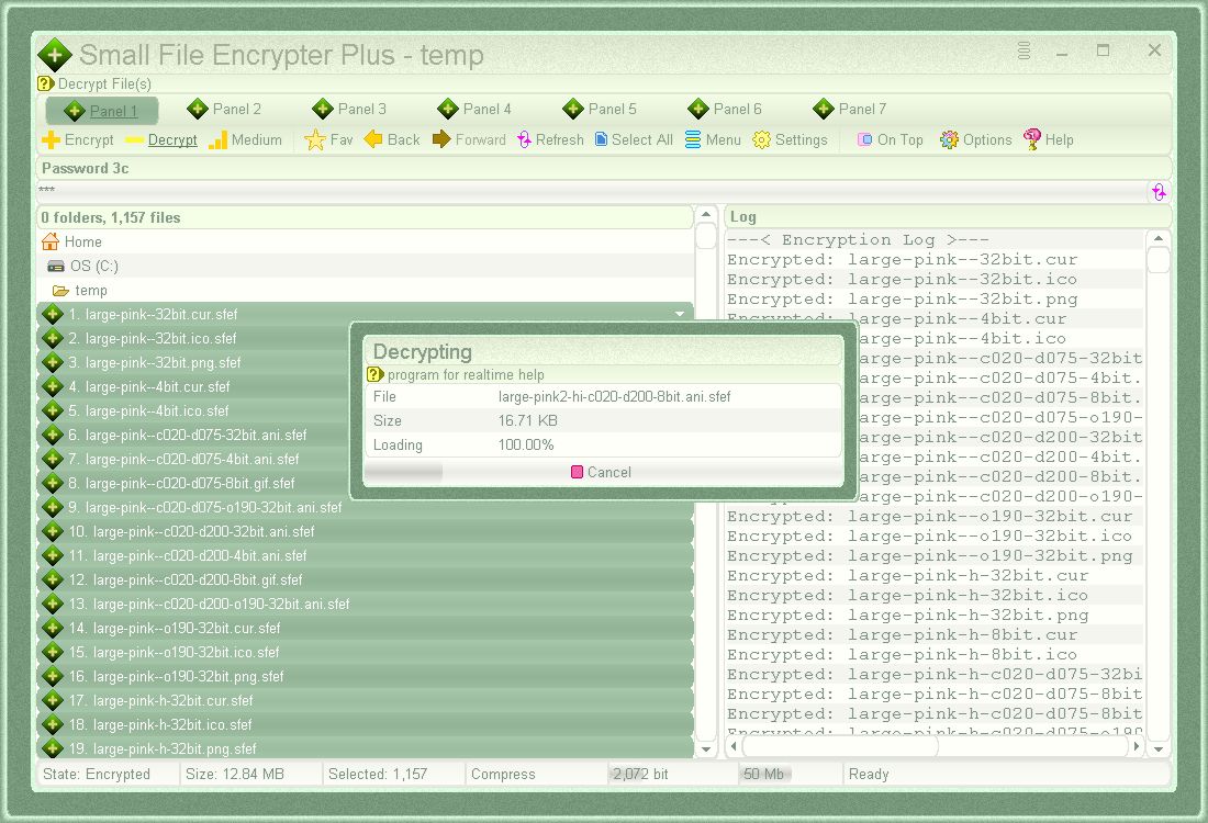 Decrypting selected files in work panel 1