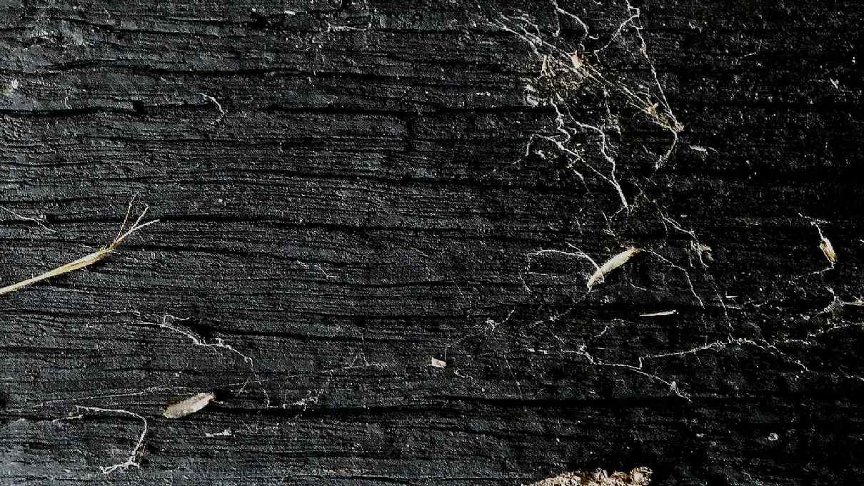 A wallpaper in the collection
